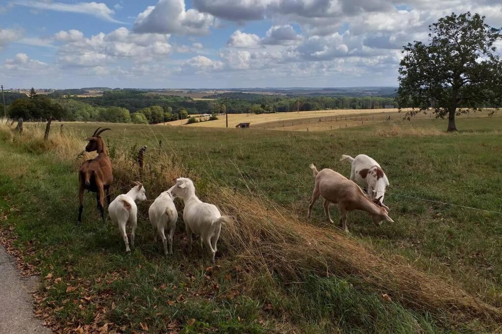 De Miavoye Calme Nature Chaleur Vue * Onhaye